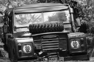 WhatsApp Image 2025-11-25 at 14.46.16_30bf7ba9